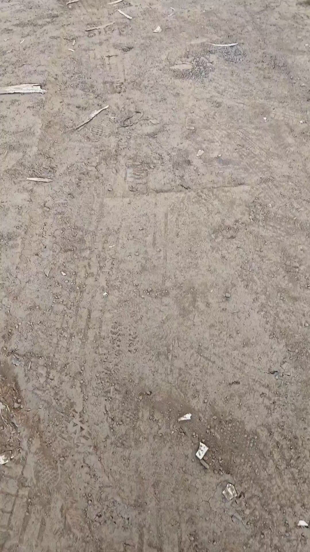 Future Design Carbon Fiber Full Body kit - "Blaze kit" for Audi RS5 B9.5 2020+