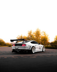Robot Craftsman "DAWN" & "DUSK" Widebody Fender Flares Wheel Arches & Side Skirts for Ford Mustang Ecoboost V6 GT Mach1 Bullitt S550.2 2018-2023 Carbon Fiber / FRP