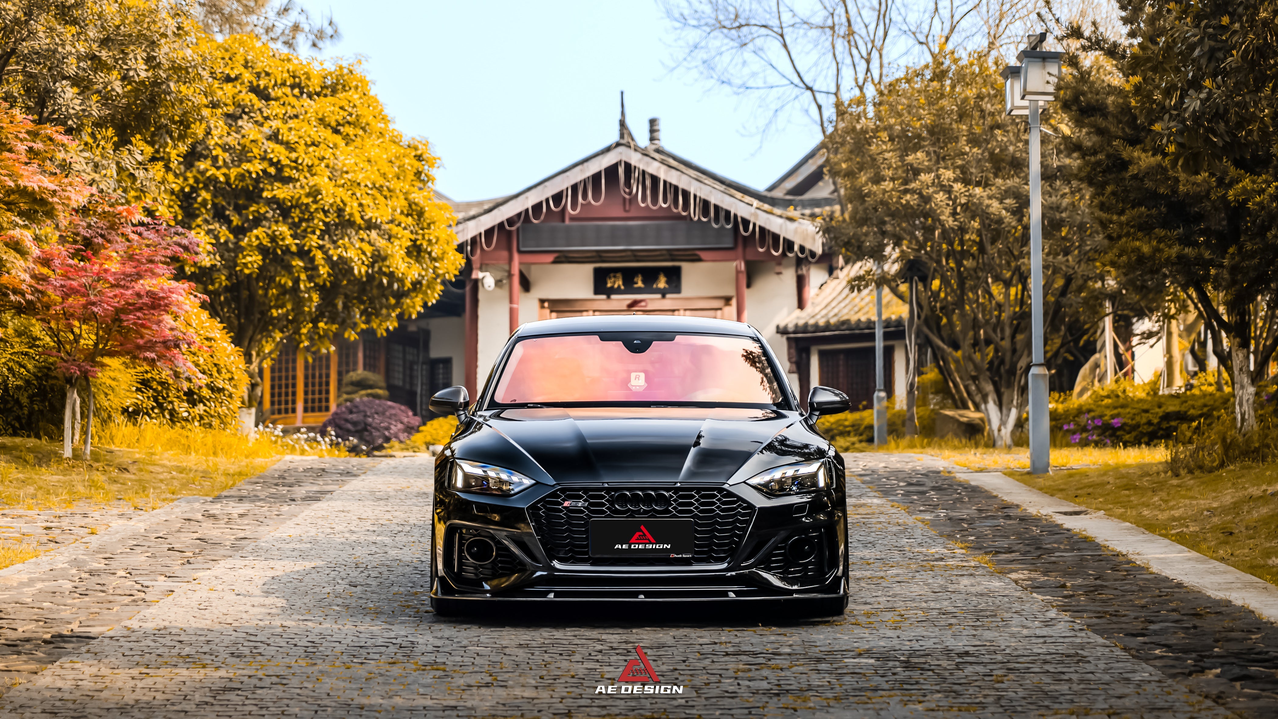Audi RS5 B9.5 2020 2021 2022 2023 2024?with Aftermarket Parts - AE Style Front Lip Carbon Fiber from ArmorExtend