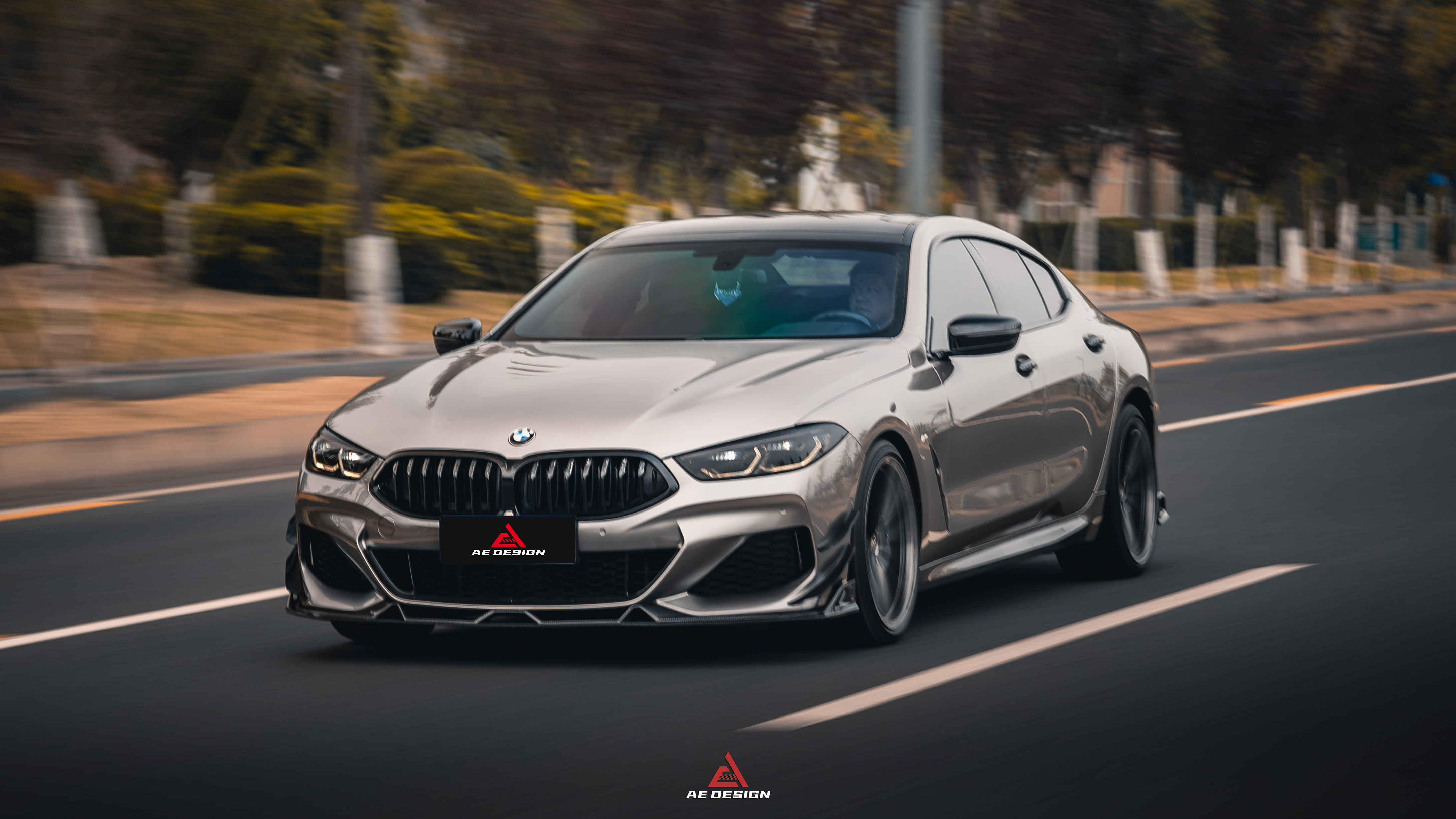 BMW 8 Series M850i 840i (With M-Package Bumper) G14 G15 G16 2018 2019 2020 2021 2022 2023 2024 with Aftermarket Parts - AE Style?Front Canards Carbon Fiber from?ArmorExtend 
