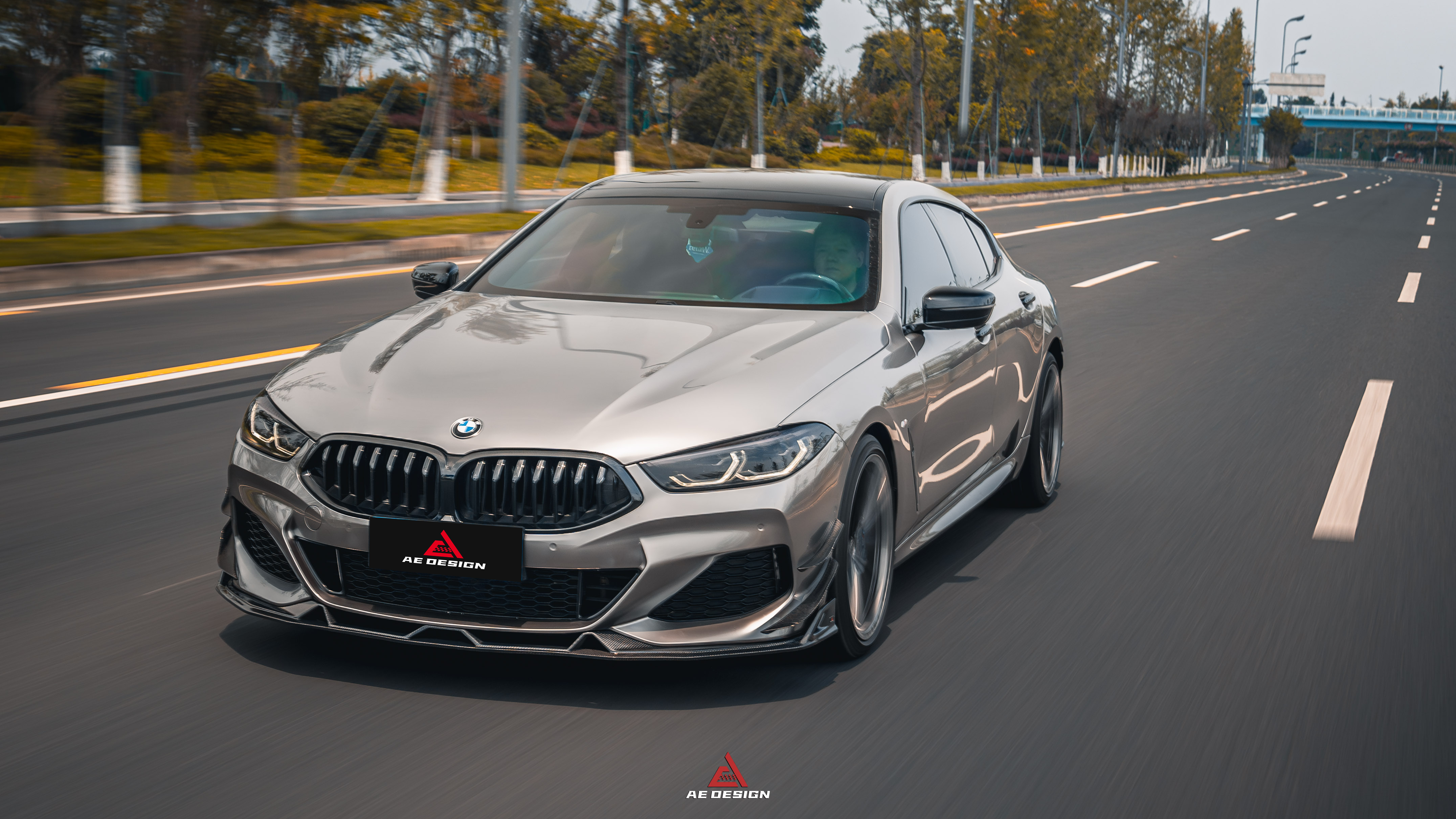 BMW 8 Series M850i 840i (With M-Package Bumper) G14 G15 G16 2018 2019 2020 2021 2022 2023 2024 with Aftermarket Parts - AE Style?Front Canards Carbon Fiber from?ArmorExtend 