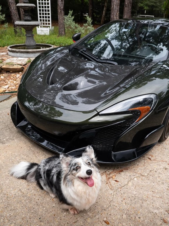 Aero Republic McLaren MP4-12C 650s 675LT Carbon Fiber P1 Style Hood - Performance SpeedShop