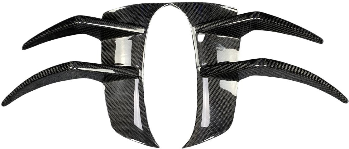 Mercedes Benz AMG GTR C190 2017 2018 2019 2020 2021 with Aftermarket Parts - Front Canards Pre-preg Carbon Fiber from Aero Republic