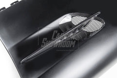 Mercedes Benz AMG GT GTS GTC GTR GTR Pro C190 2016 2017 2018 2019 2020 2021 with Aftermarket Parts - GTR Style Front Fenders Carbon Fiber from Aero Republic