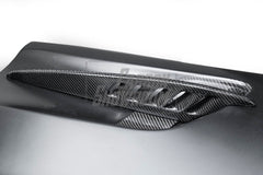Mercedes Benz AMG GT GTS GTC GTR GTR Pro C190 2016 2017 2018 2019 2020 2021 with Aftermarket Parts - GTR Style Front Fenders Carbon Fiber from Aero Republic