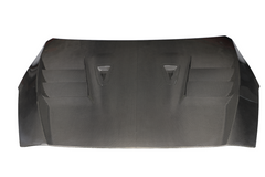 Nissan GTR R35 EBA 2017 2018 2019 2020 2021 2022 2023 2024 (2017+ hood recommended for 2008-2016 model years) with Aftermarket Parts - TS Style Hood Dry Pre-preg Carbon Fiber from Aero Republic