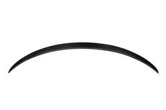 Tesla Model 3 Performance 2017 2018 2019 2020 2021 2022 2023 with Aftermarket Parts - A Style Rear Lip Spoiler Pre-preg Carbon from Aero Republic