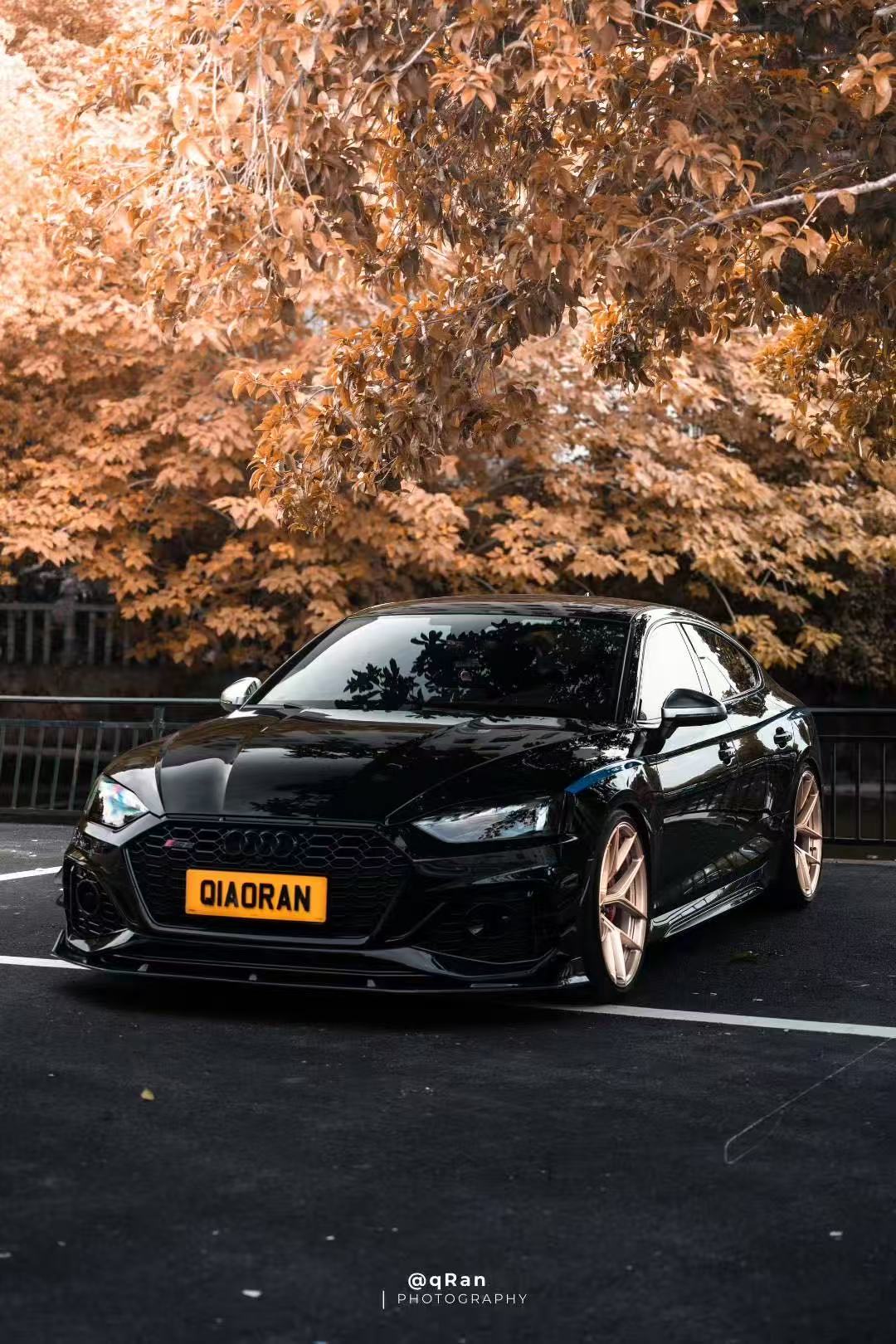 Audi RS5 B9.5 2020 2021 2022 2023 2024 2025with Aftermarket Parts - AE Style Front Lip Carbon Fiber from ArmorExtend