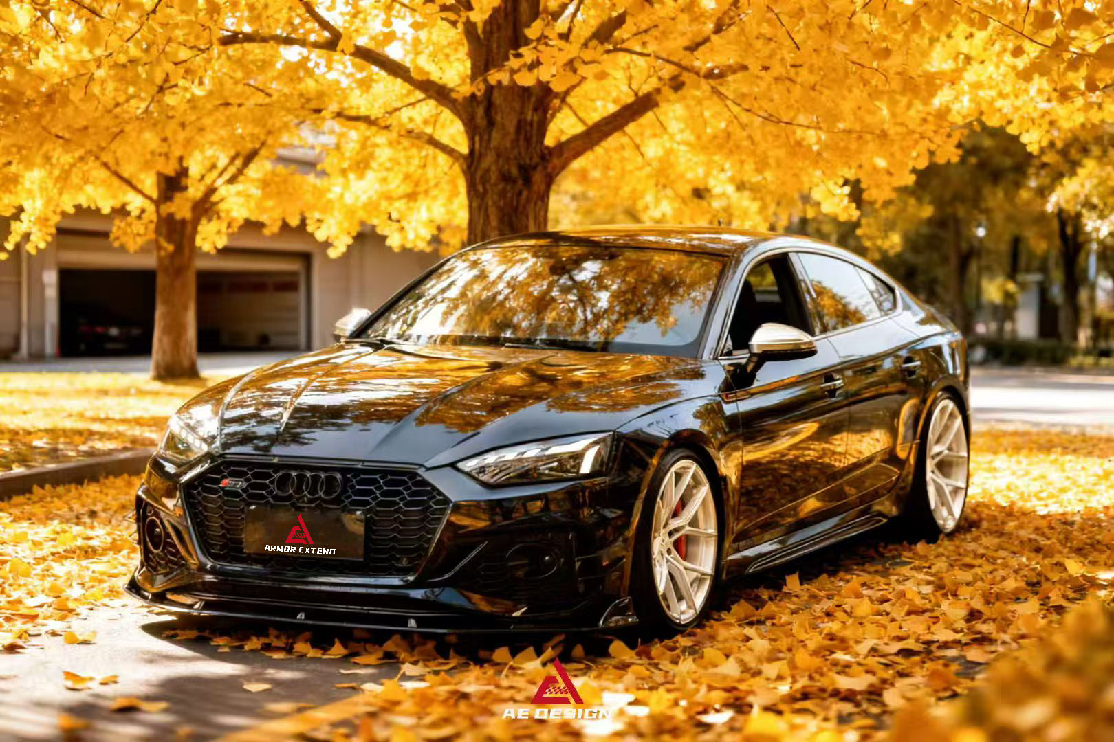 Audi RS5 B9.5 2020 2021 2022 2023 2024 2025 with Aftermarket Parts - AE Style Front Canards Carbon Fiber from ArmorExtend