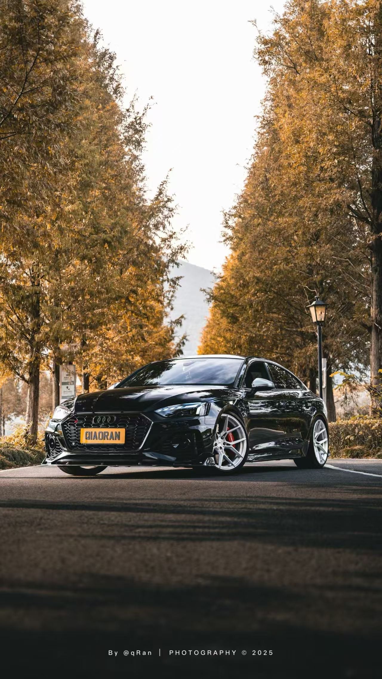 Audi RS5 B9.5 2020 2021 2022 2023 2024 2025with Aftermarket Parts - AE Style Front Lip Carbon Fiber from ArmorExtend