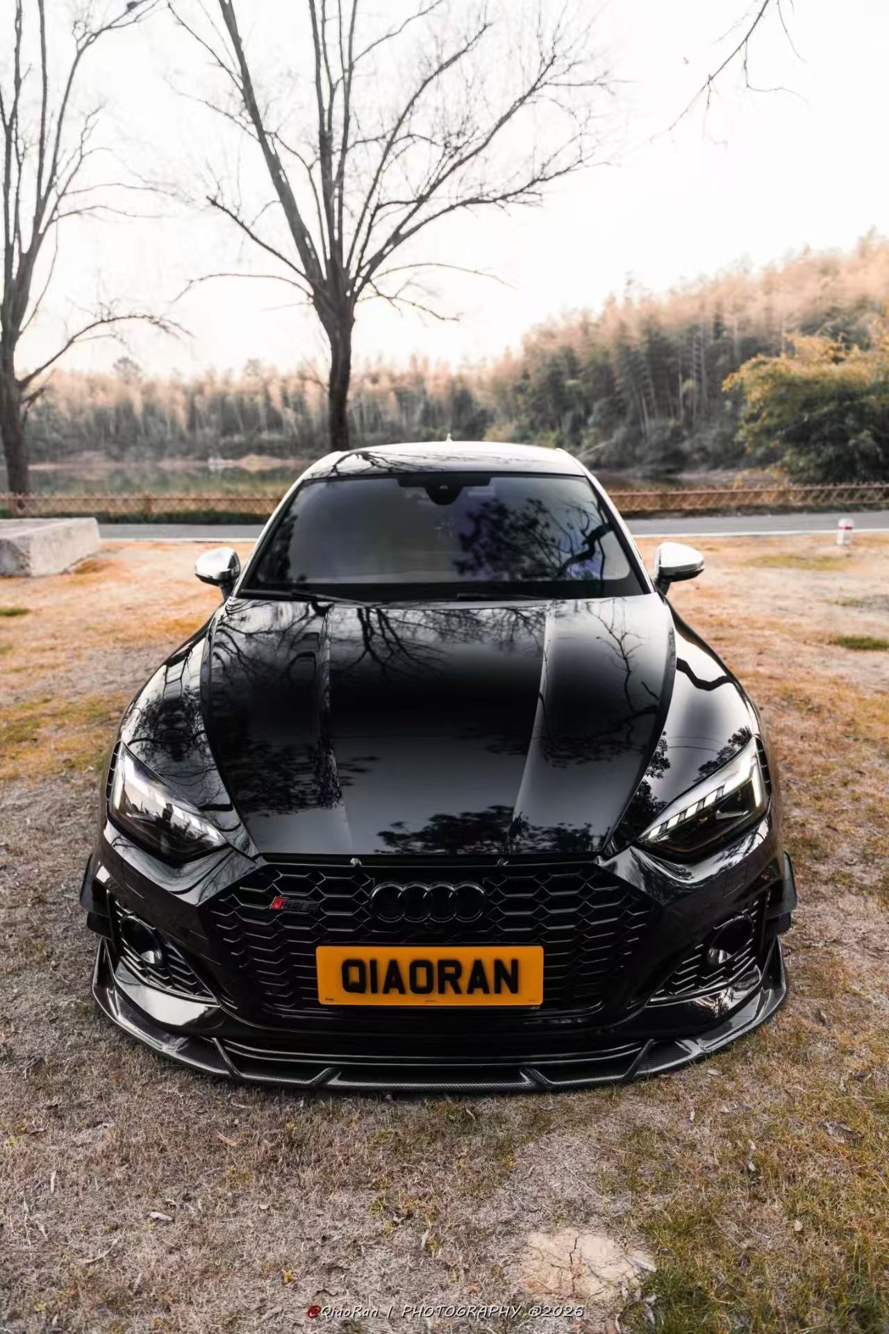 Audi RS5 B9.5 2020 2021 2022 2023 2024 2025 with Aftermarket Parts - AE V2 Style Front Lip Dry Pre-preg Carbon Fiber from ArmorExtend