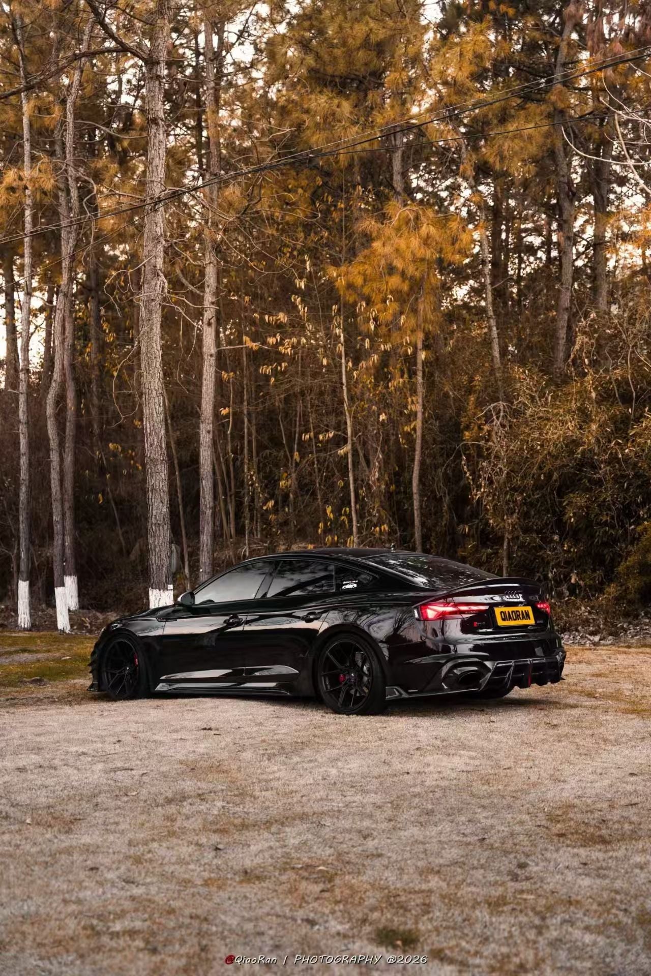 Audi RS5 B9.5 2020 2021 2022 2023 2024 2025 with Aftermarket Parts - AE V2 Style Rear Diffuser & Canards Dry Pre-preg Carbon Fiber from ArmorExtend