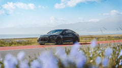 Audi RS5 B9 B9.5 2017 2018 2019 2020 2021 2022 2023 2024 2025 with Aftermarket Parts - AE Style Front Fenders Carbon Fiber from ArmorExtend