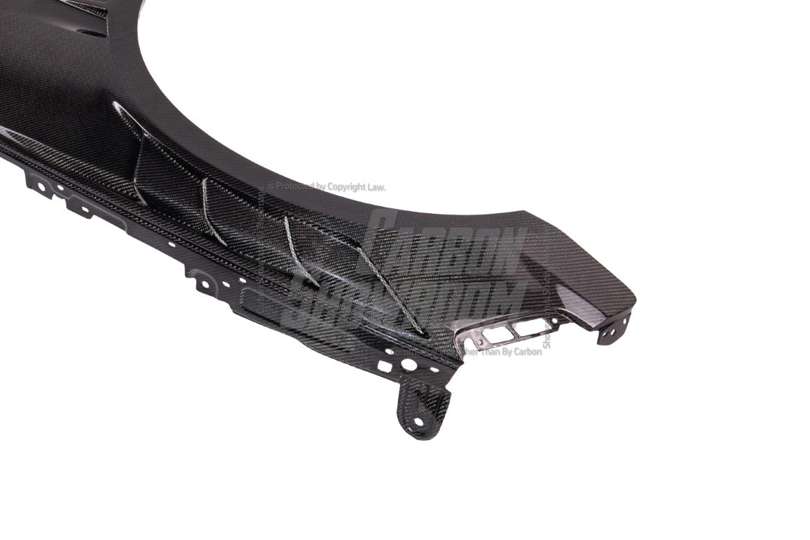 Audi RS5 B9 / B9.5 2017 2018 2019 2020 2021 2022 2023 2024 with Aftermarket Parts - AE Style Front Fenders Carbon Fiber from ArmorExtend