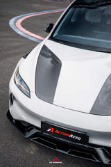 Tesla Model 3 Highland / Performance 2024-ON with Aftermarket Parts - Action Aero Series Hood Bonnet Carbon Fiber from ArmorExtend