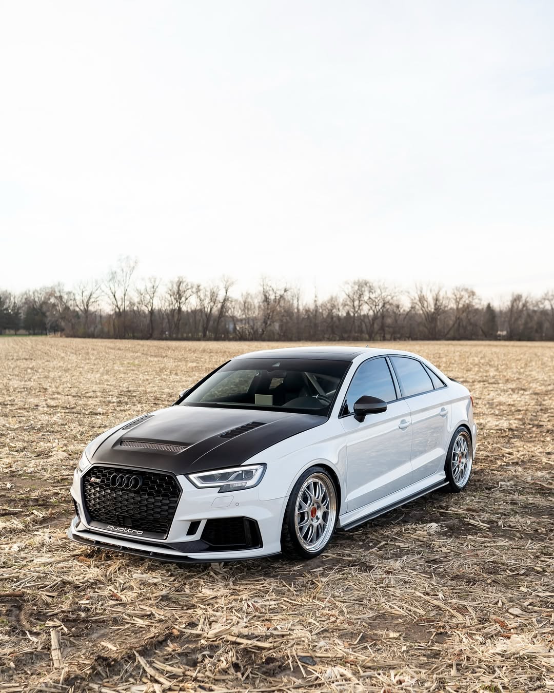 Audi RS3 S3 A3 8V / 8V.5 2014 2015 2016 2017 2018 2019 2020 with Aftermarket Parts - V2 Hood Bonnet Carbon Fiber / FRP from CMST Tuning