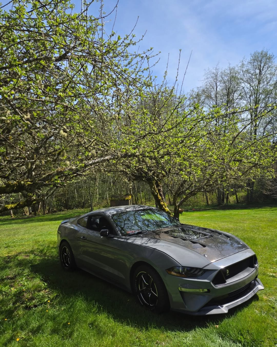 Ford Mustang GT 5.0 Mach1 Bullitt Ecoboost 2.3 S550.2 2018 2019 2020 2021 2022 2023 with Aftermarket Parts - V2 Clearview Glass Hood Bonnet Carbon Fiber / FRP from CMST Tuning