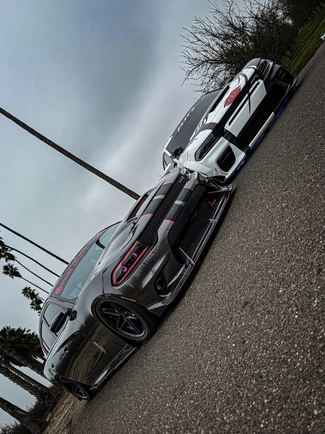 Dodge Charger 2015 Scat Pack & 2016 Scat Pack, Hellcat & 2017 R/T, Daytona, Scat Pack, Hellcat & 2018 GT, R/T, Daytona, Scat Pack, Hellcatwith & 2019 GT, R/T, Scat Pack, Hellcat & 2020 GT, R/T, Scat Pack, Hellcat & 2021 GT, R/T, Scat Pack & 2022-2023 GT, R/T, Scat Pack Non-widebody Aftermarket Parts - Front Lip Carbon Fiber from CMST Tuning