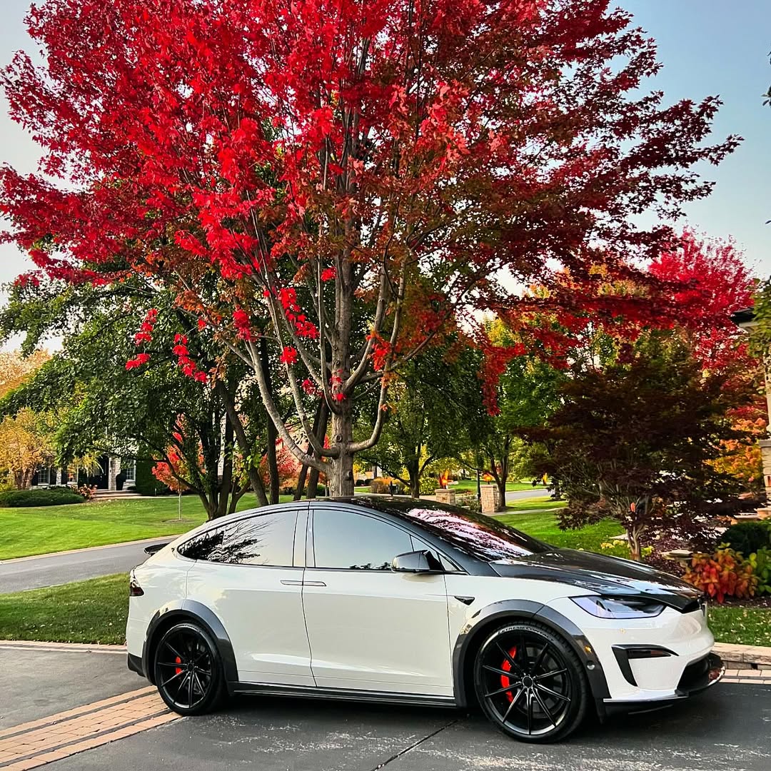 Tesla Model X P100D 100D 90D 75D 60D Performance Long Range Base 2016 2017 2018 2019 2020 2021 with Aftermarket Parts - Widebody Wheel Arches Carbon Fiber / FRP from CMST Tuning