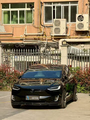 Tesla Model X P100D 100D 90D 75D 60D Performance Long Range Base 2016 2017 2018 2019 2020 2021 with Aftermarket Parts - Front Lip Splitter Carbon Fiber / FRP from CMST Tuning
