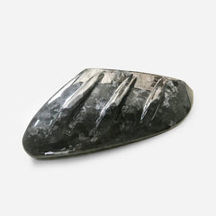 Honda Civic Type-R FK8 2017 2018 2019 2020 2021 with Aftermarket Parts - MUG Style Side mirror cover Pre-preg Carbon Fiber from EPR USA