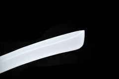 Nissan HR34 ER34 GTT 1999 2000 2001 2002 2003 2004 with Aftermarket Parts - Roof Wing Carbon Fiber / FRP from EPR USA