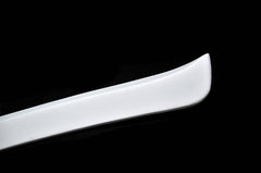 Nissan HR34 ER34 GTT 1999 2000 2001 2002 2003 2004 with Aftermarket Parts - Roof Wing Carbon Fiber / FRP from EPR USA