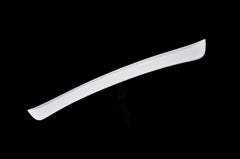 Nissan HR34 ER34 GTT 1999 2000 2001 2002 2003 2004 with Aftermarket Parts - Roof Wing Carbon Fiber / FRP from EPR USA