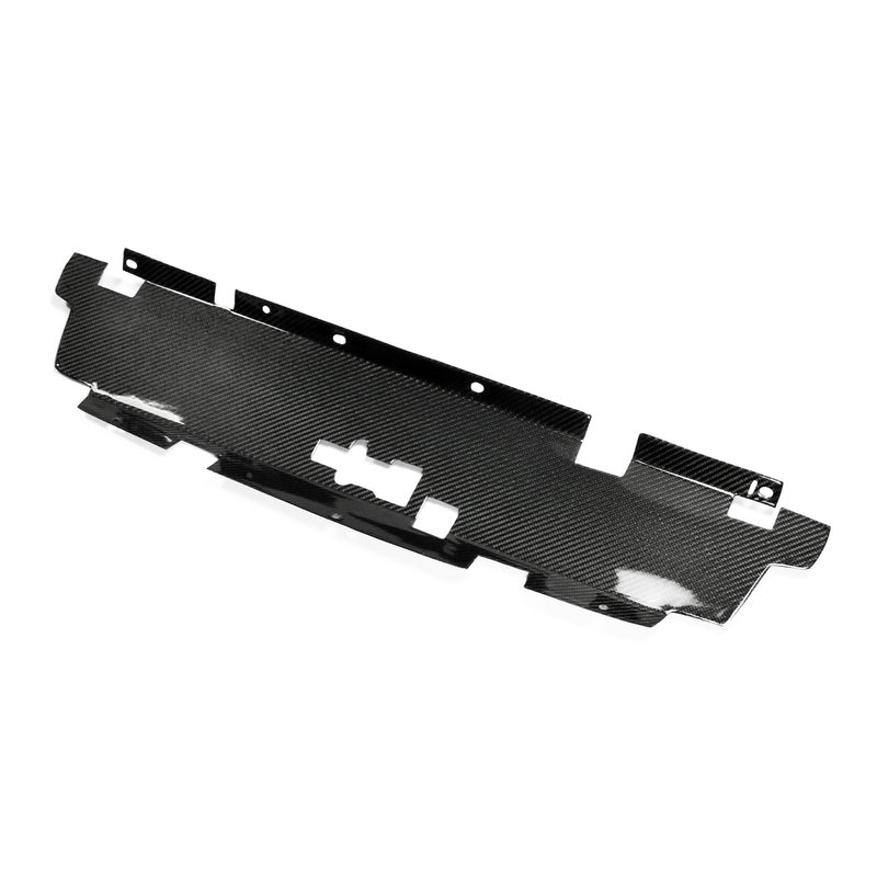 Nissan R34 ER34 GTT 1999 2000 2001 2002 2003 2004 with Aftermarket Parts - Cooling Slam Panel Carbon Fiber from EPR USA