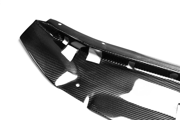 Nissan R34 GTR Base Nismo Z Tune S Tune R Tune V-Spec Tune Nur 1999 2000 2001 2002 2003 2004 with Aftermarket Parts - Garage D Style Cooling Panel Carbon Fiber / FRP from EPR USA