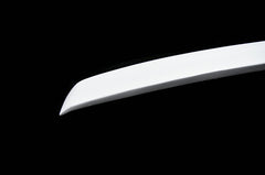 Nissan R34 GTT 1999 2000 2001 2002 2003 2004 with Aftermarket Parts - URS Style Bonnet Lip Carbon Fiber / FRP from EPR USA