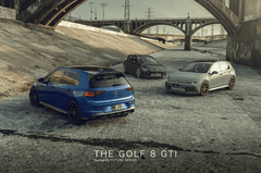 Future Design FD Carbon Fiber SIDE SKIRTS for Volkswagen Golf GTI MK8