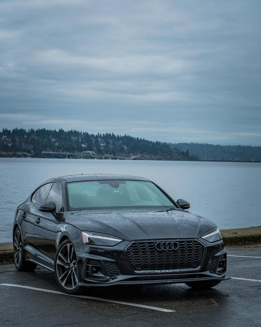 Audi S5 A5 (with s-line bumper, does not base model) B9.5 2020 2021 2022 2023 2024 with Aftermarket Parts - Upper Valences Carbon Fiber from Karbel Carbon
