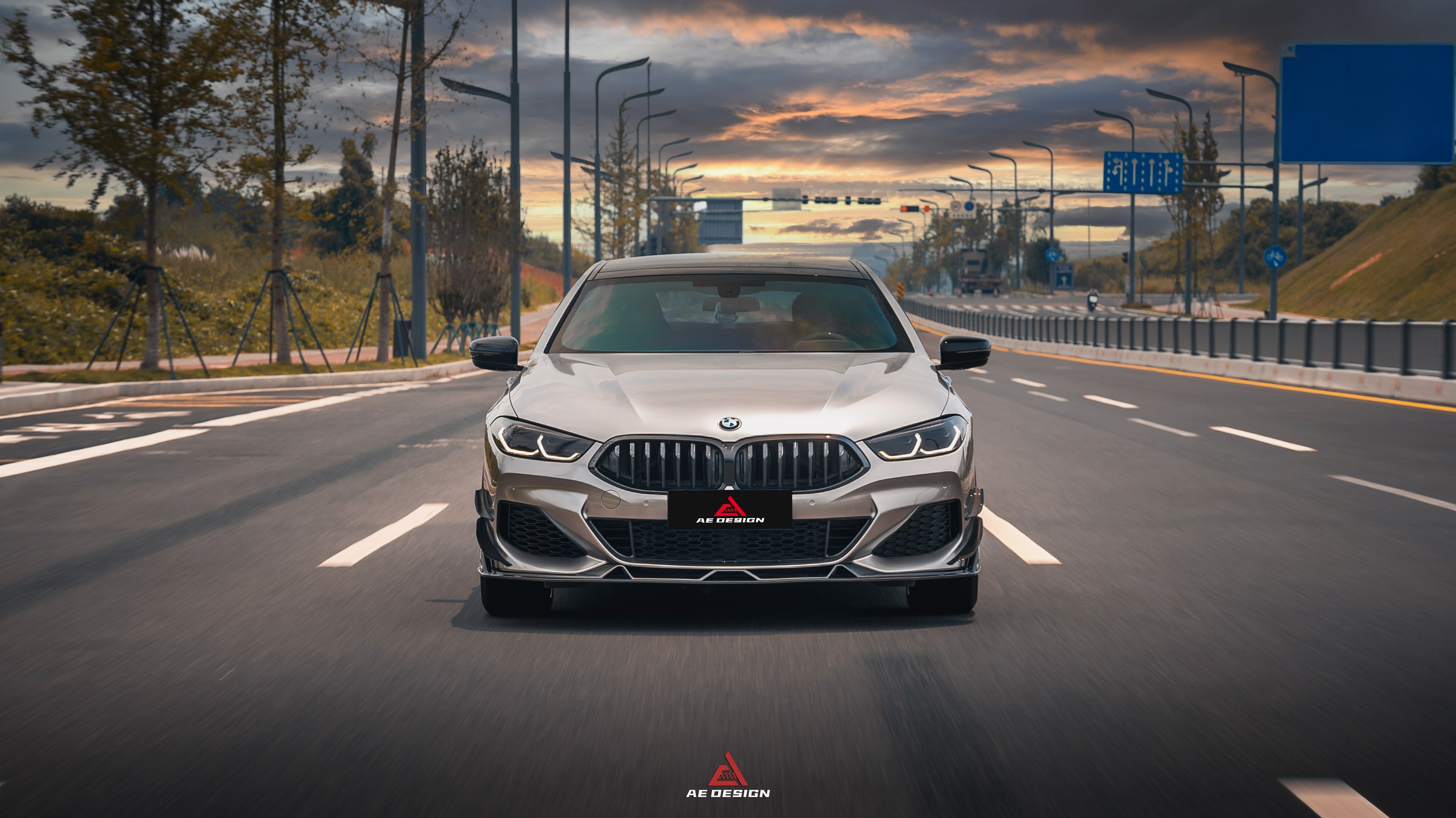 BMW 8 Series M850i 840i (With M-Package Bumper) G14 G15 G16 2018 2019 2020 2021 2022 2023 2024 with Aftermarket Parts - AE Style Front Canards Carbon Fiber from ArmorExtend 
