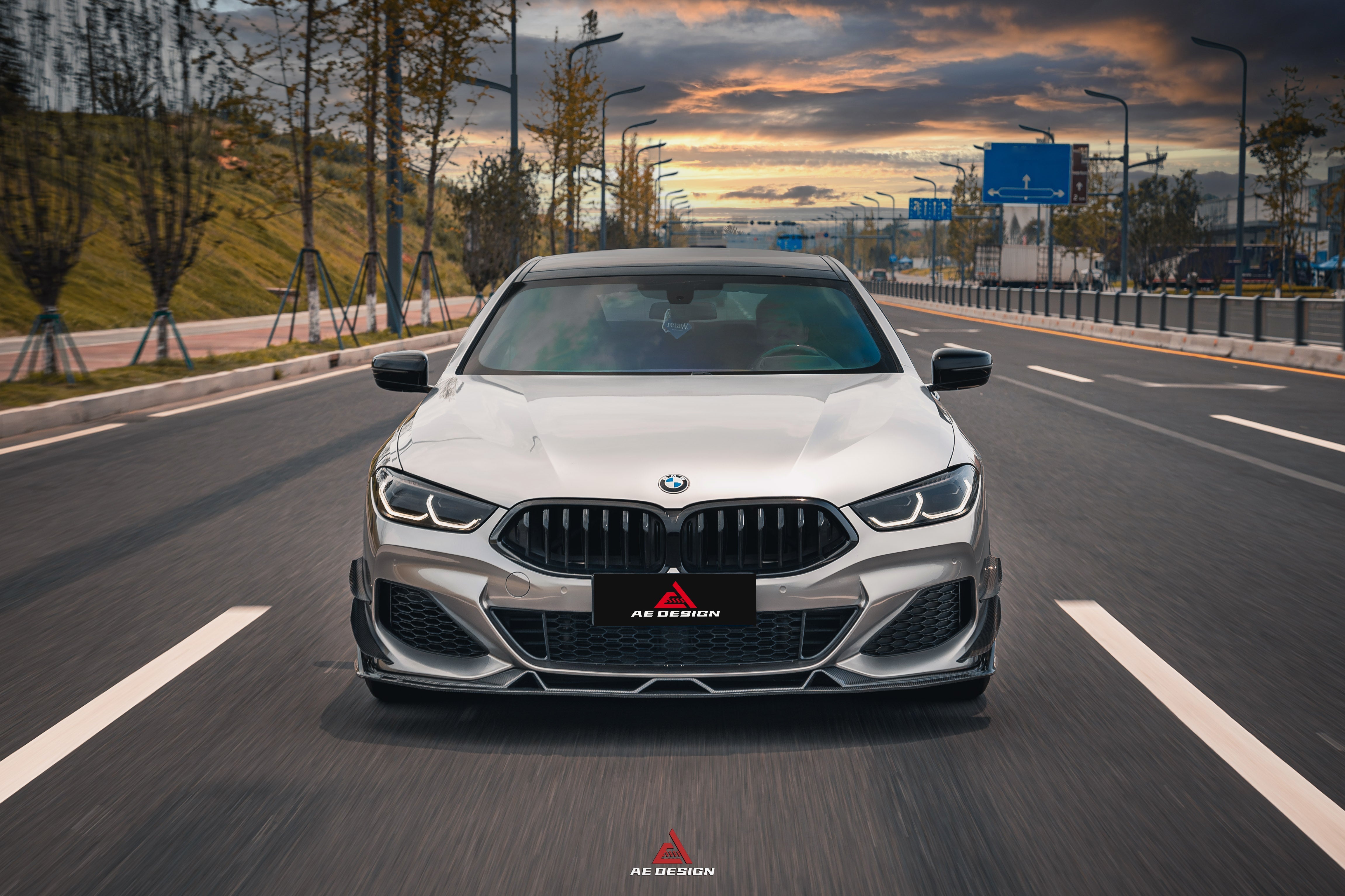 BMW 8 Series M850i 840i (With M-Package Bumper) G14 G15 G16 2018 2019 2020 2021 2022 2023 2024 with Aftermarket Parts - AE Style?Front Canards Carbon Fiber from?ArmorExtend 