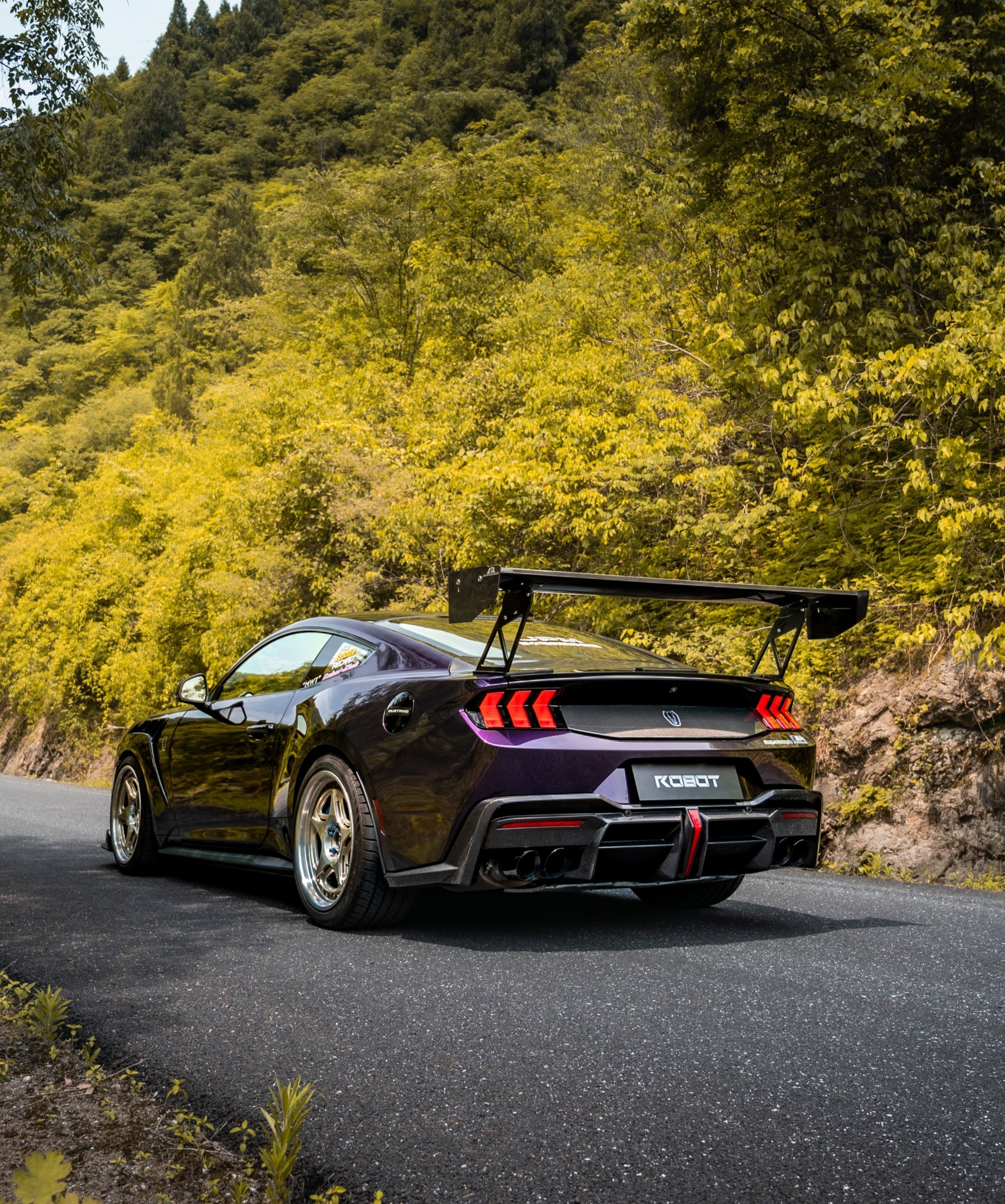 Ford Mustang S650 2024-ON with Aftermarket Parts - DARKSTAR Rear Diffuser Carbon Fiber from Robot Craftsman