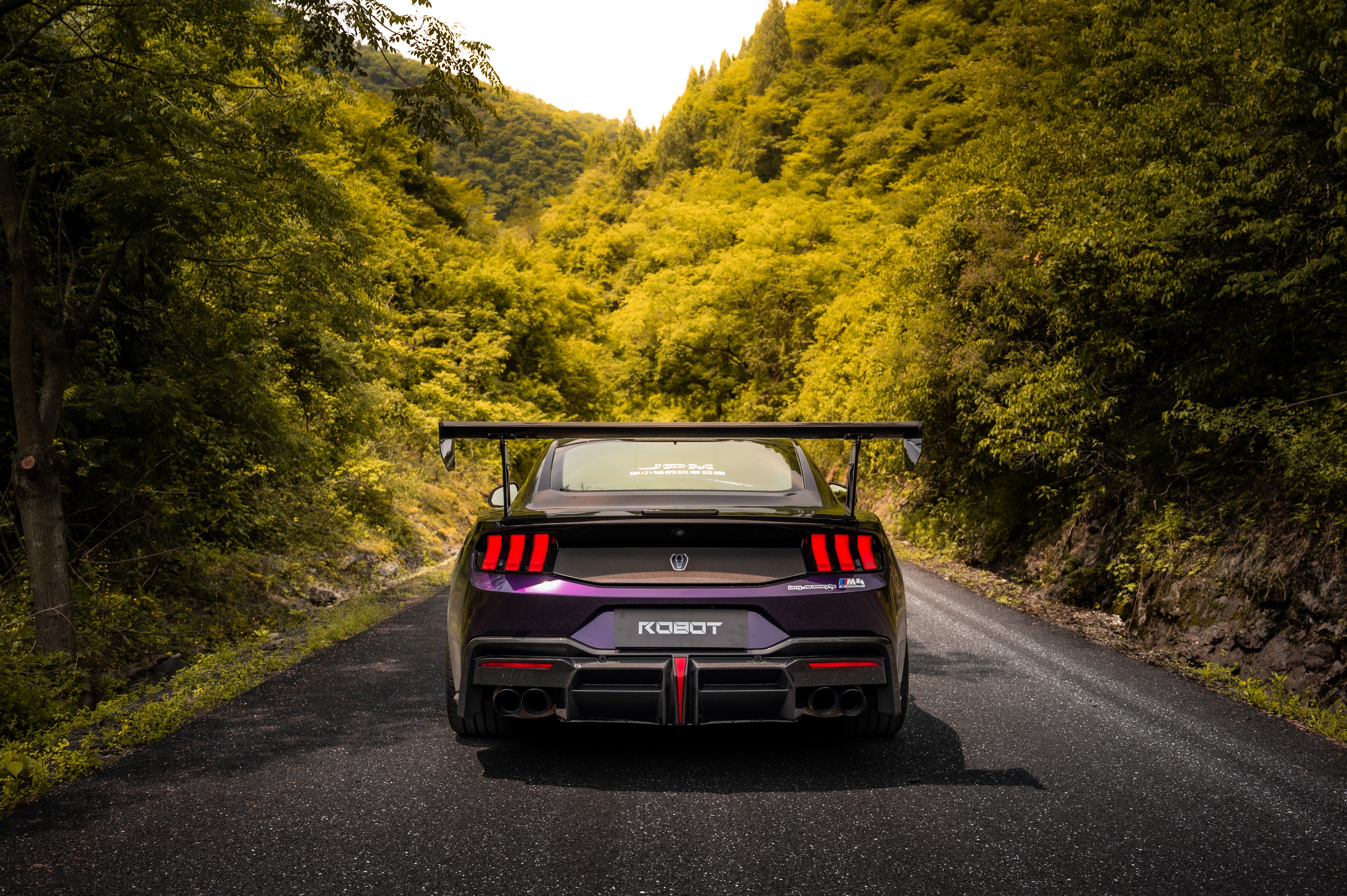 Ford Mustang S650 2024-ON with Aftermarket Parts - DARKSTAR Rear Diffuser Carbon Fiber from Robot Craftsman