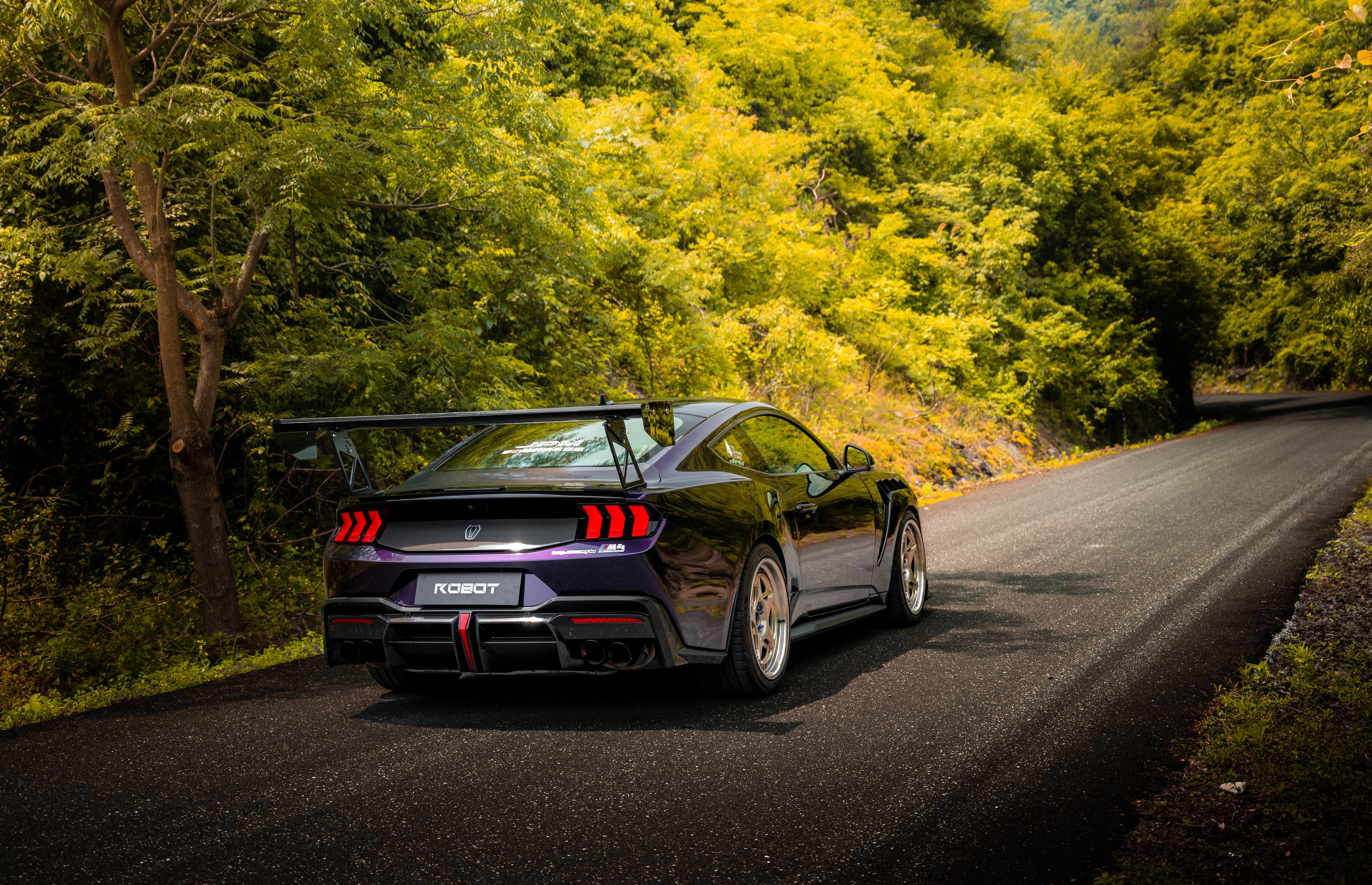 Ford Mustang S650 2024-ON with Aftermarket Parts - DARKSTAR Rear Diffuser Carbon Fiber from Robot Craftsman