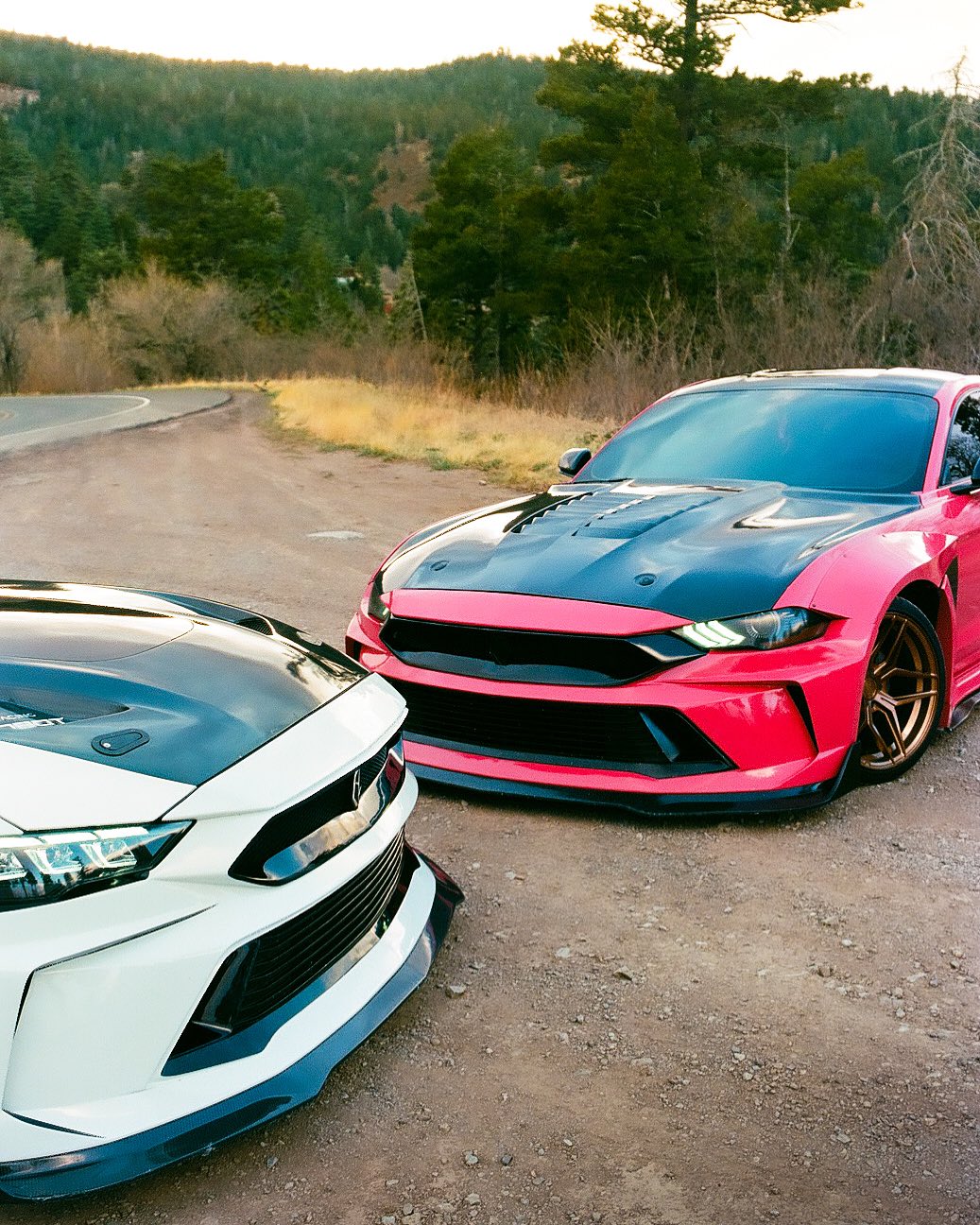 Ford Mustang Ecoboost V6 GT S550.1 2015 2016 2017 & Mustang Ecoboost V6 GT March1 Bullitt S550.2 2018 2019 2020 2021 2022 2023 with Aftermarket Parts - "DAWN" Hood Bonnet Carbon Fiber / FRP from Robot Craftsman
