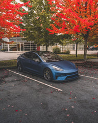 Tesla Model 3 Performance Long Range Standard Base 2017 2018 2019 2020 2021 2022 2023 with Aftermarket Parts - Crypton Side Skirts Carbon Fiber / FRP from Robot Craftsman