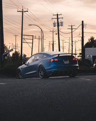 Tesla Model 3 Performance Long Range Standard Base 2017 2018 2019 2020 2021 2022 2023 with Aftermarket Parts - Crypton Side Skirts Carbon Fiber / FRP from Robot Craftsman