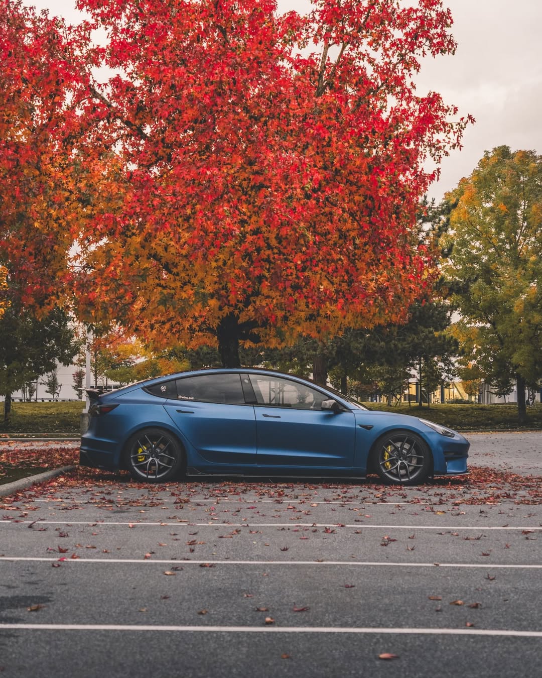 Tesla Model 3 Performance Long Range Standard Base 2017 2018 2019 2020 2021 2022 2023 with Aftermarket Parts - Crypton Side Skirts Carbon Fiber / FRP from Robot Craftsman