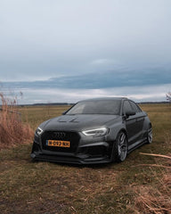 Audi RS3 8V.5 2018 2019 2020 with Aftermarket Parts - Side Skirts & Side Skirts Extentions Carbon Fiber / FRP from SPECTER PLUS