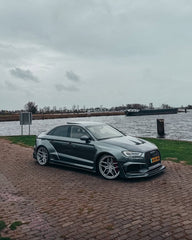 Audi RS3 8V.5 2018 2019 2020 with Aftermarket Parts - Side Skirts & Side Skirts Extentions Carbon Fiber / FRP from SPECTER PLUS