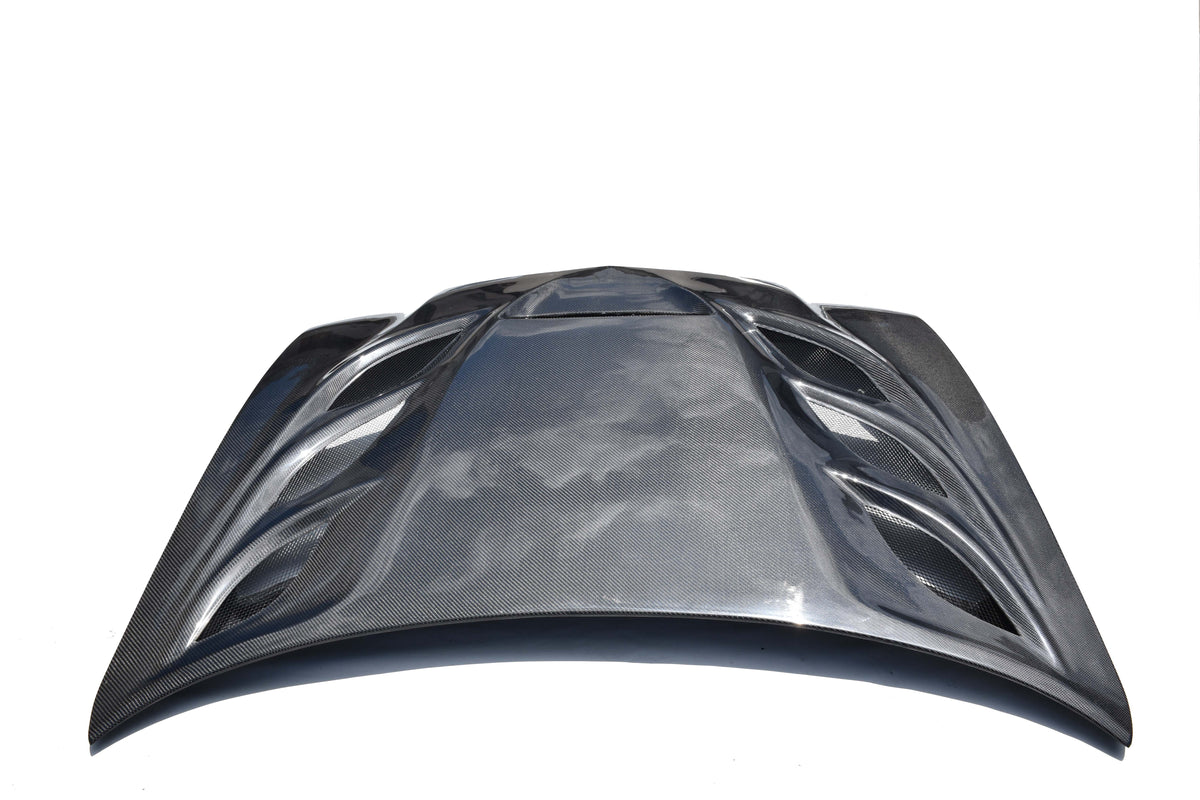 Dodge Charger Base SXT SE R/T SRT8 V6 V8 2011 2012 2013 2014 with Aftermarket Parts - V1 Hood?Carbon Fiber/FRP from Aero Republic