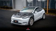 Tesla Model Y Performance AWD Long Range RWD Standard 2020 2021 2022 2023 2024 2025 with Aftermarket Parts - ART Hood Bonnet Carbon Fiber from ArmorExtend