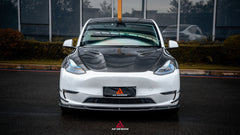 Tesla Model Y Performance AWD Long Range RWD Standard 2020 2021 2022 2023 2024 2025 with Aftermarket Parts - ART Hood Bonnet Carbon Fiber from ArmorExtend