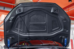 Audi RS3 S3 A3 8Y 8Y.5 2022-ON with Aftermarket Parts - Hood Bonnet Double-sided Dry Pre-preg Carbon Fiber from Ventus Veloce
