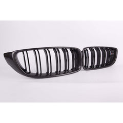Carbon Fiber Kidney