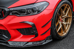 BMW M5/M5C F90 Pre-LCI 2018 2019 2020 with Aftermarket Parts - AE Intake Vent Cover?Carbon Fiber?from ArmorExtend